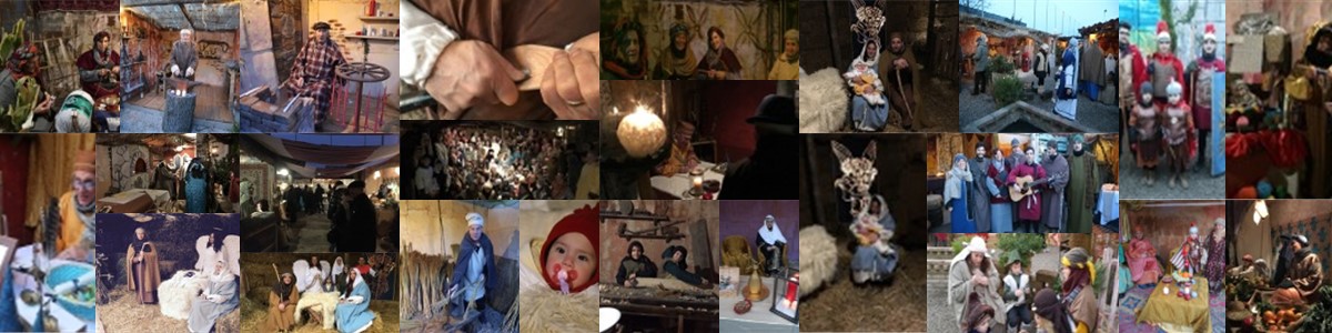 Ed.2015/2016