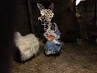 img07